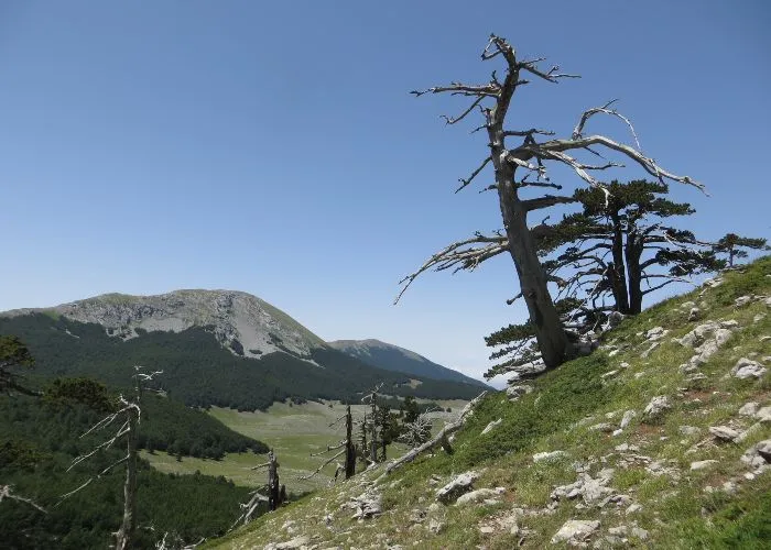 Monte Pollino
