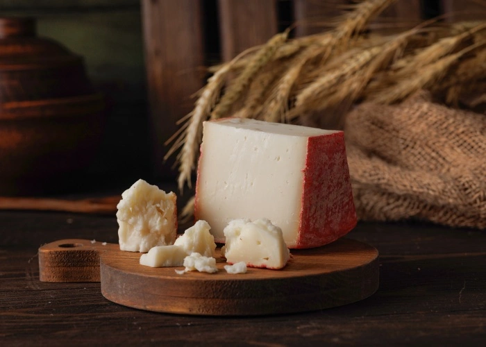 Fontina